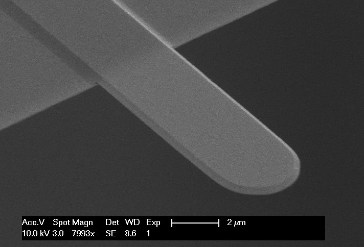 Ultra-Short Tipless AFM Cantilever NANOSENSORS™ Special Developments List (SDL)